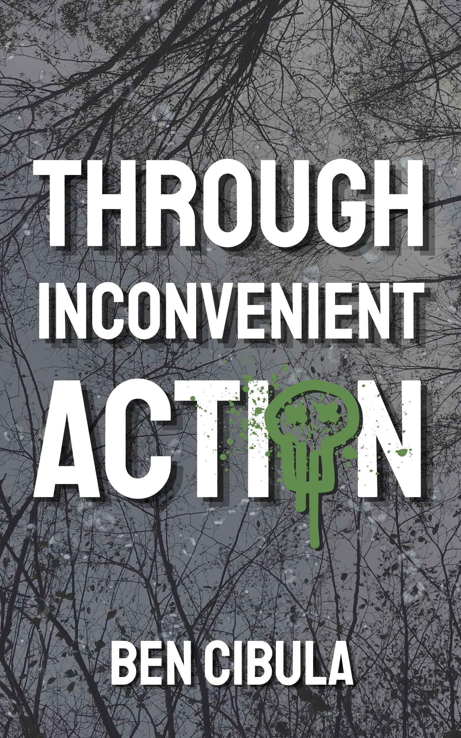 Through Inconvenient Action cover